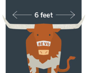 graphic of a Bevo the longhorn and the distance between his horns is 6 feet