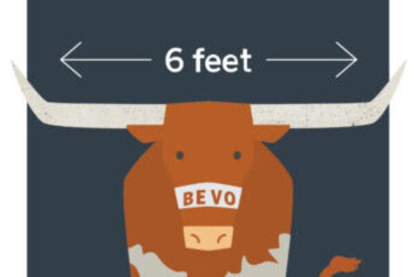 graphic of a Bevo the longhorn and the distance between his horns is 6 feet