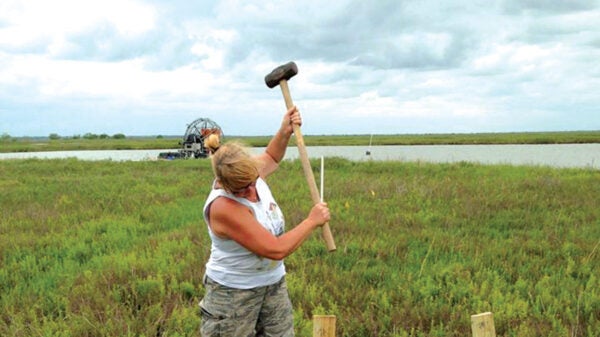 Kim Jackson working on a coastal island.