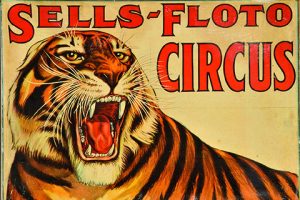 A roaring tiger decorates a circus poster.