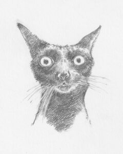 Pencil sketch of a black cat