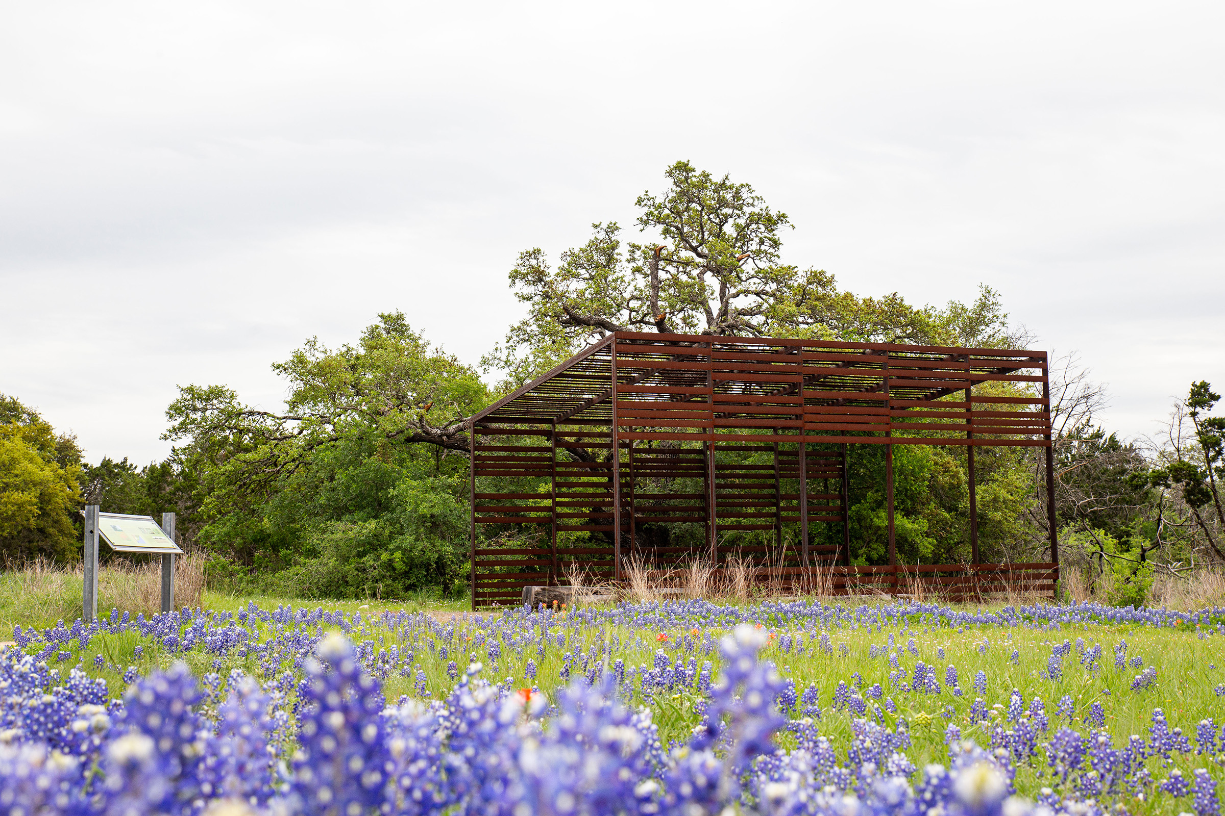 Patio structure in a field of bluebonnets