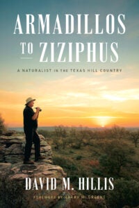 Armadillos to Ziziphus book cover. Man stands on a rock looking out with the sun low in the sky.