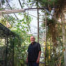 Man stands in a greenhouse full of plants