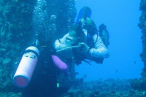 People diving in the sea