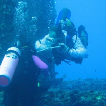 People diving in the sea