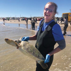 Shayna Whitaker prepares to release a turtle at the beach